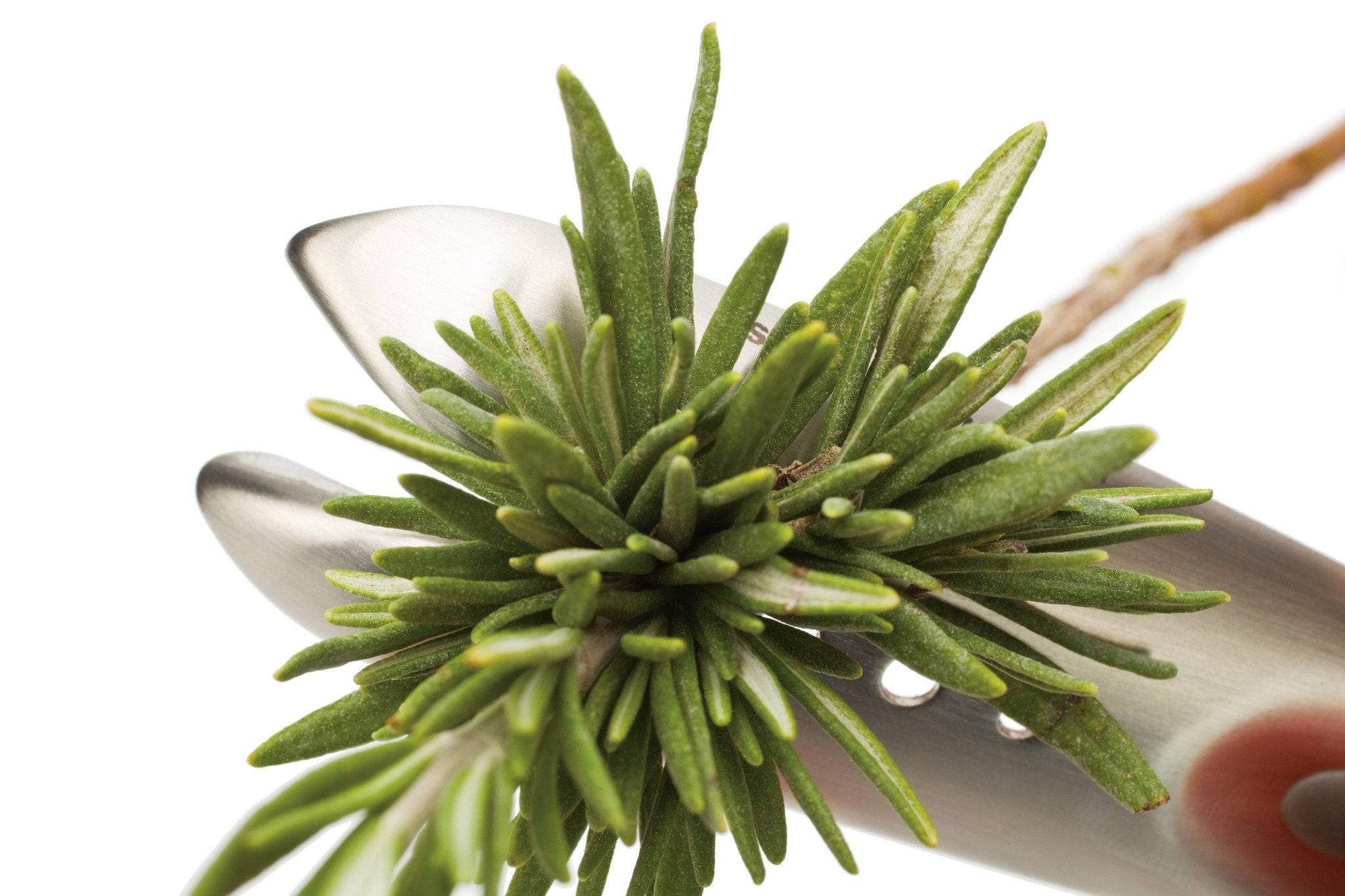 herbzipper